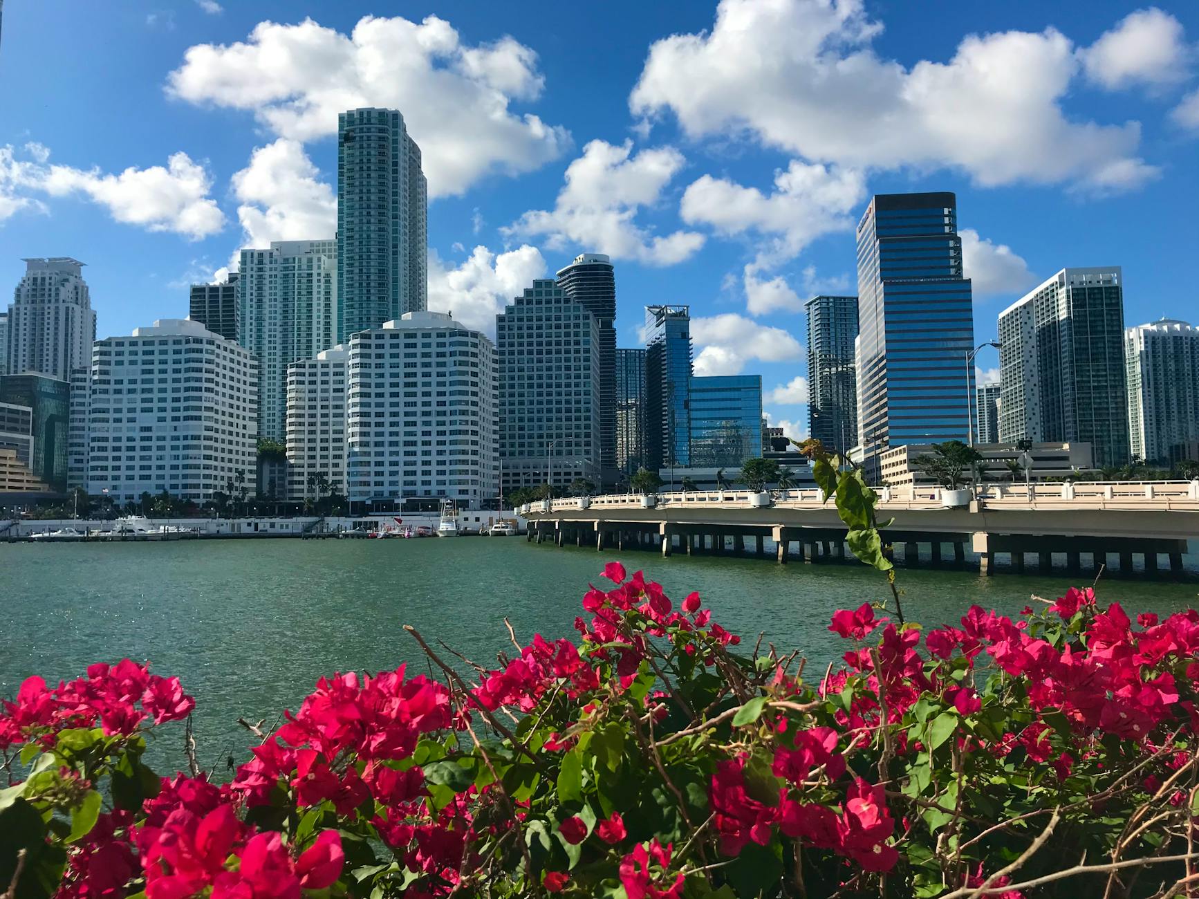 Miami warm tropical light over palm-lined boulevard, representing the GSMx Miami 2026 trader sourcing event.