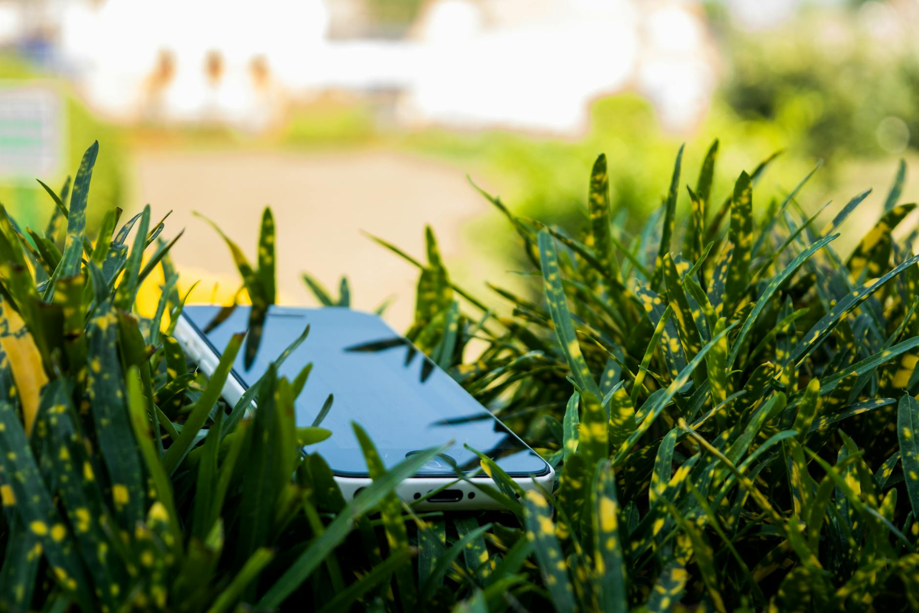 A smartphone resting on a soft cream surface beside a small green leaf, representing the carbon savings of reusing refurbished electronics.