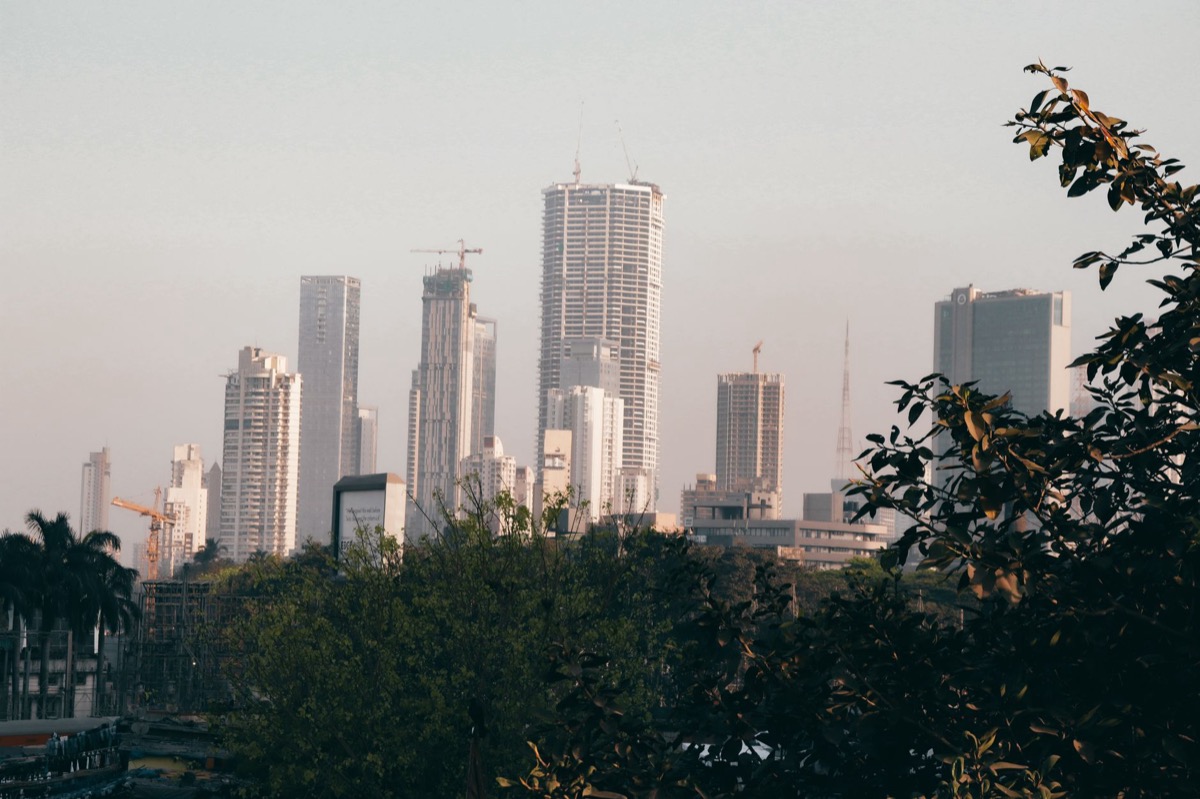 El horizonte de una ciudad con rascacielos y árboles durante el día.