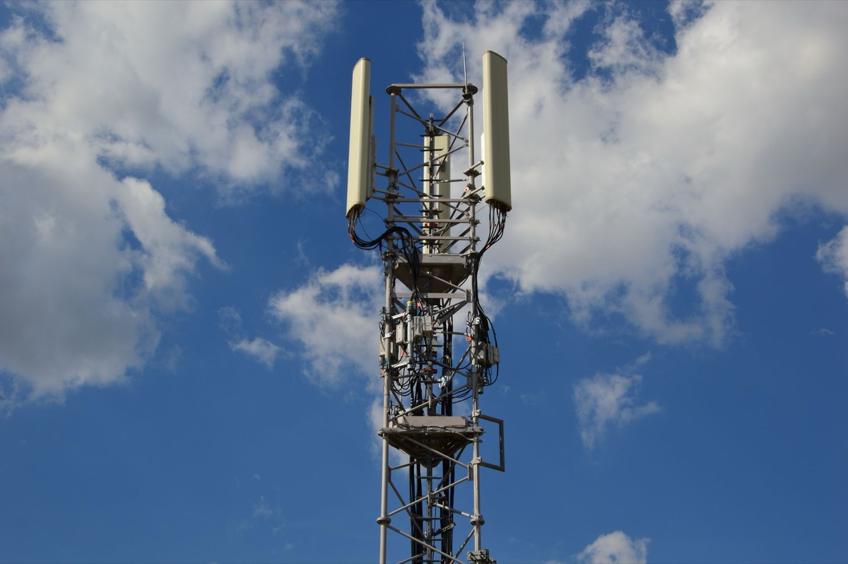 Una alta torre de comunicación celular contra un cielo azul intenso.