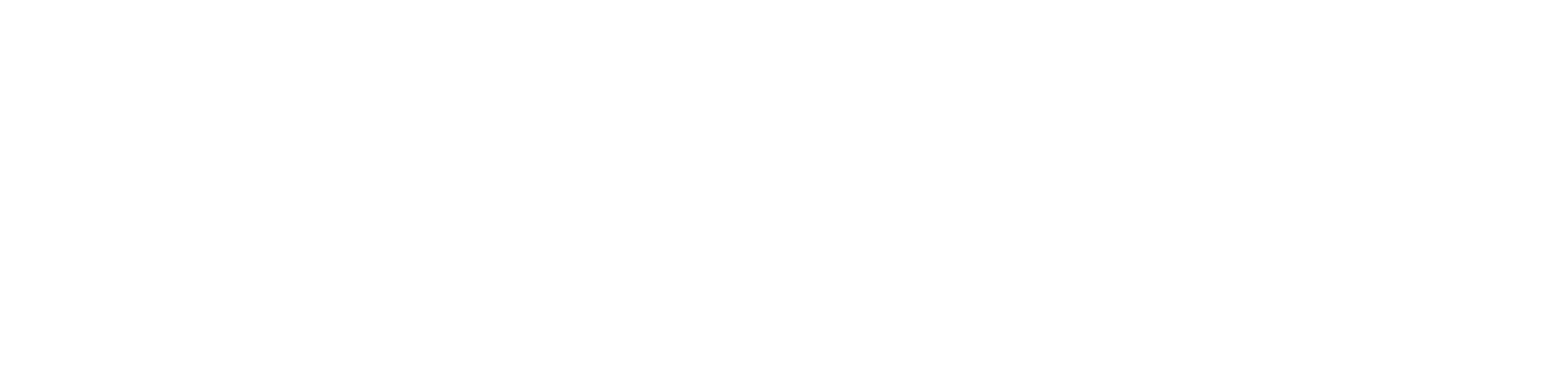 Aikon long white logo
